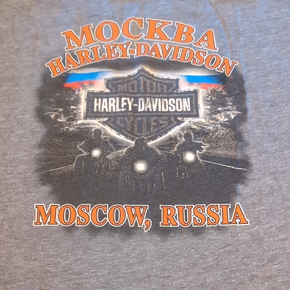 Harley-Davidson Gray Short Sleeve Tee - Picture 3 of 7
